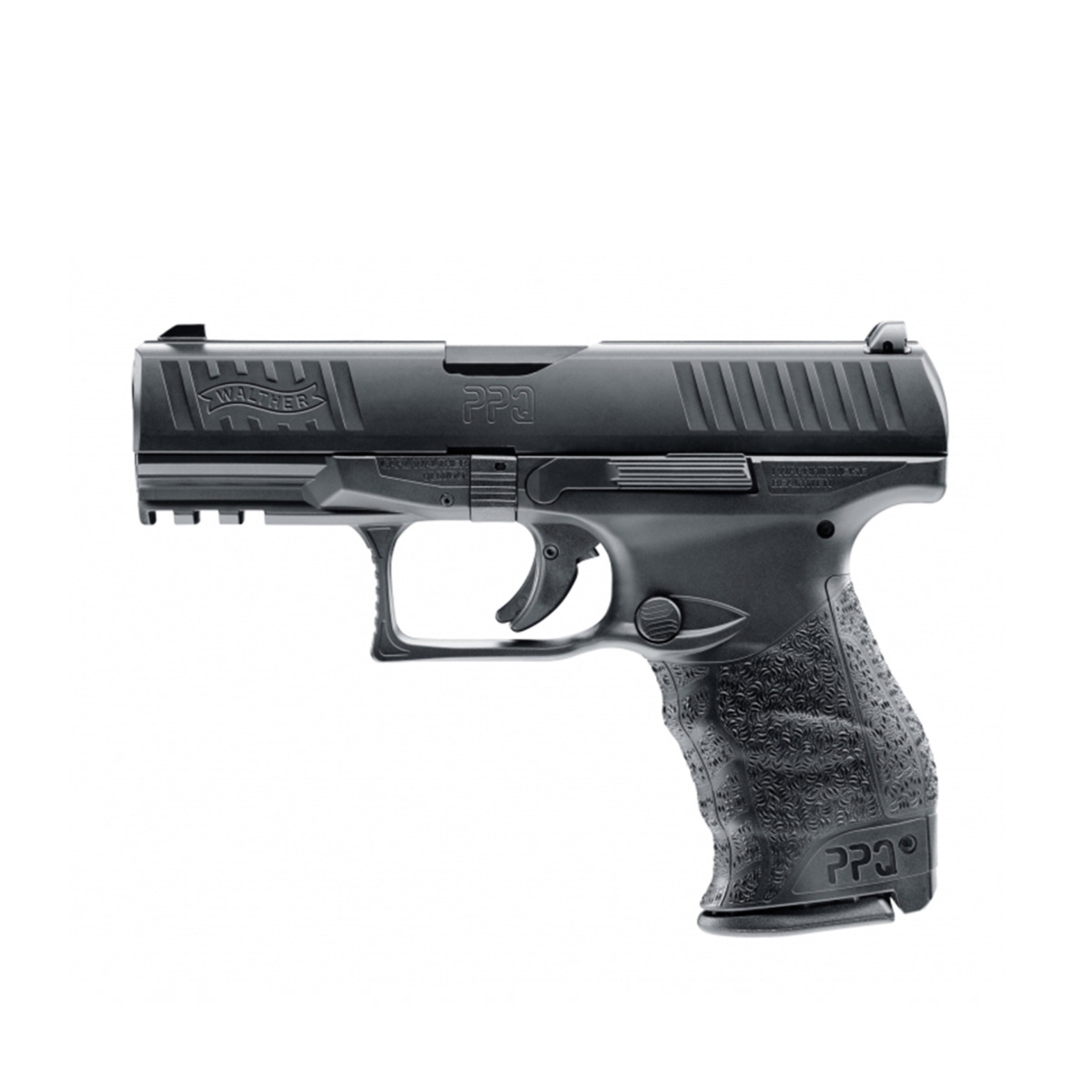 PPQ1