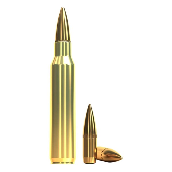 Sellier&Bellot .223 Rem 55gr - obrazek 2